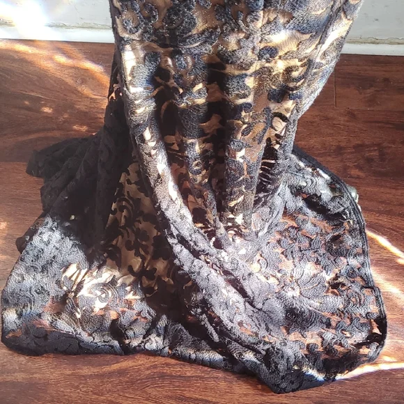 Tadashi Shoji Banded Lace  Black and Tan Maxi Gown with Flutter Cap Slee… - Picture 10 of 12